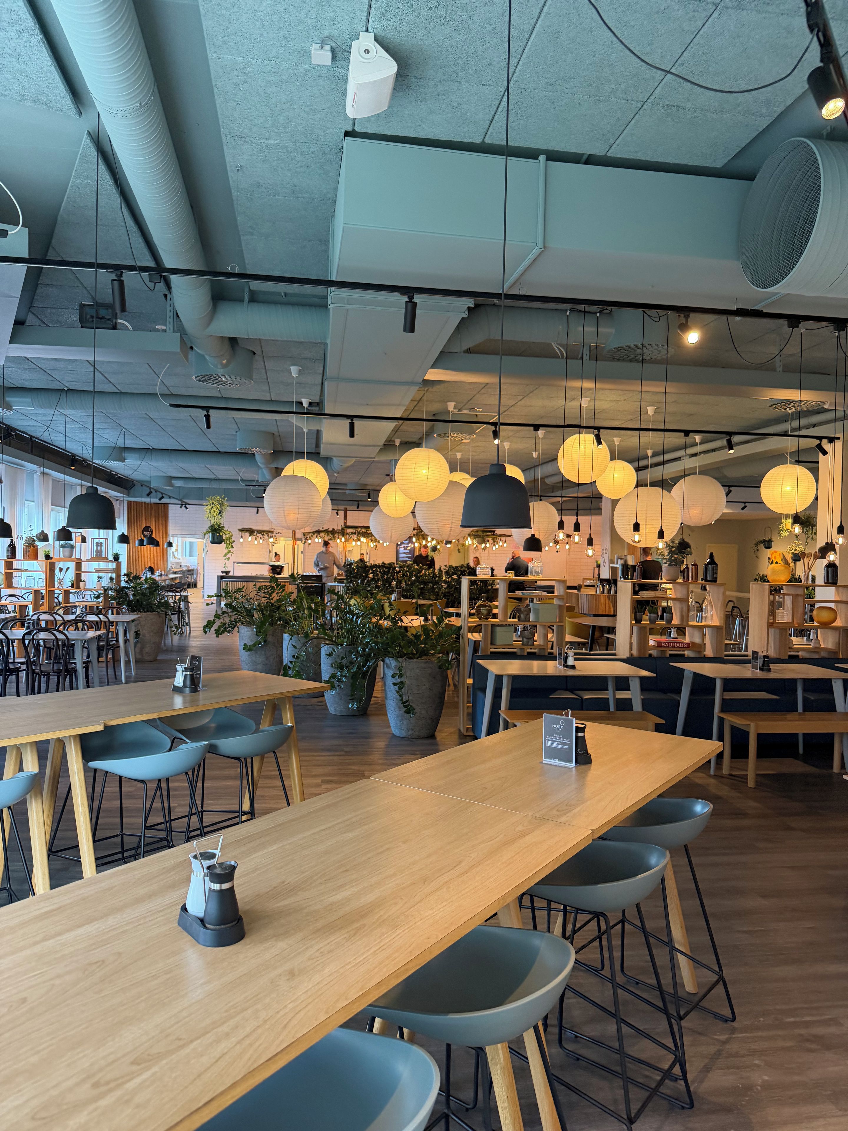 Een modern café interieur met houten tafels, blauwe stoelen, hangende papieren lantaarns en potplanten.