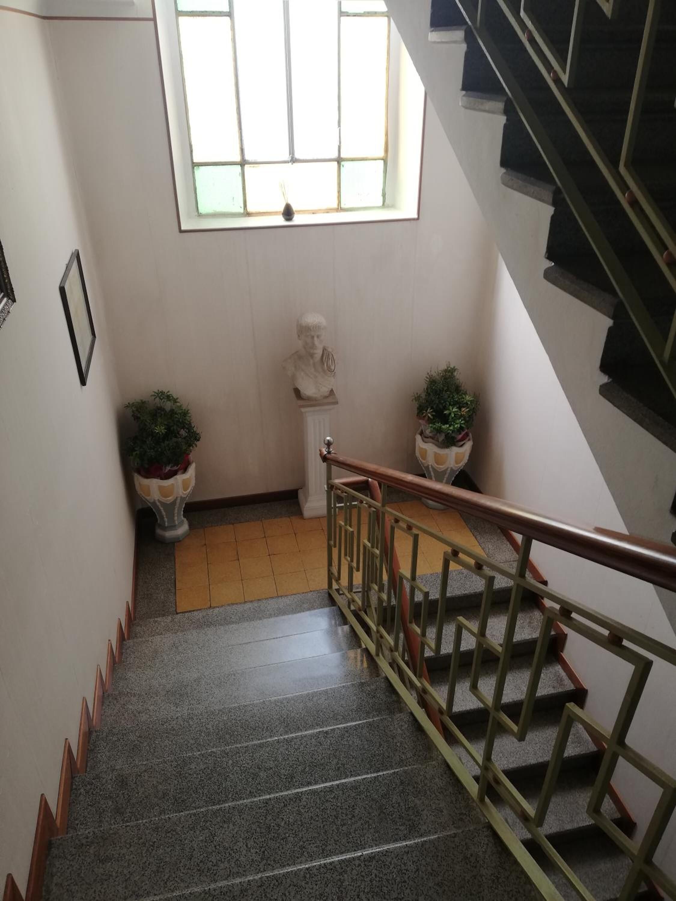 Un escalier avec une main courante, une fenêtre au-dessus et deux plantes en pot de chaque côté.