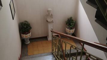 Un escalier avec une main courante, une fenêtre au-dessus et deux plantes en pot de chaque côté.