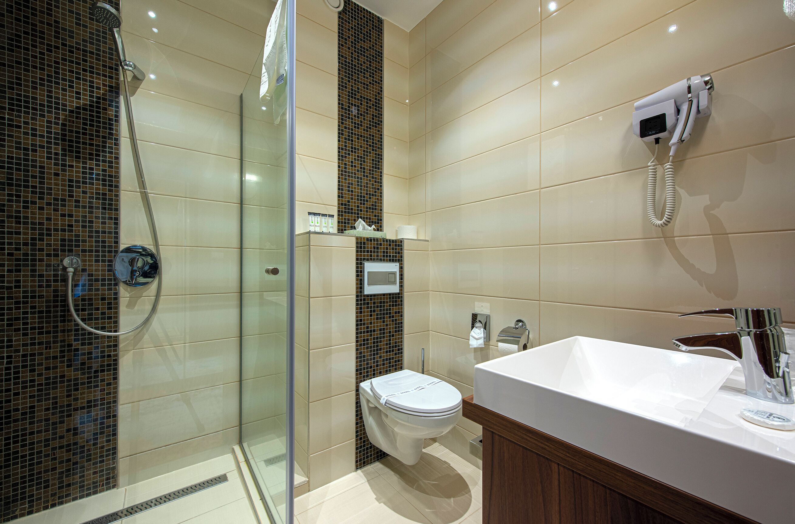 A modern bathroom with a glass-enclosed shower, a toilet, and a sink with a mirror.