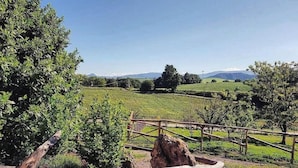 Unclassified image, 5 of 19, button - Agriturismo Il Riccio (Rionero in Vulture)