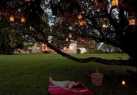 Garden. Château Ormes de Pez