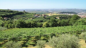 A vineyard landscape with terraced fields and a distant town. - B&B Al Cristo (Sant'Ambrogio di Valpolicella)