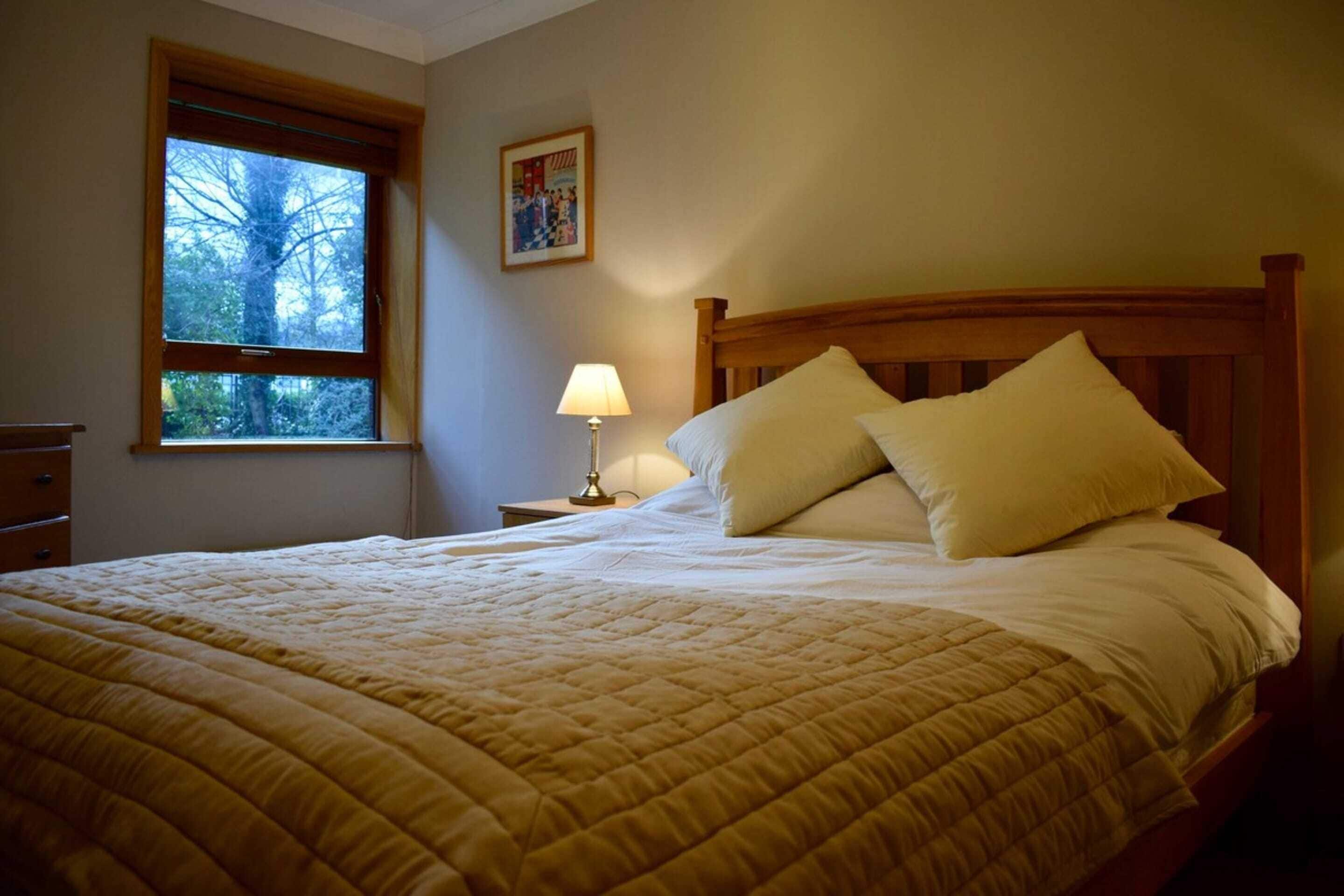 Apartment, 1 Bedroom | 1 bedroom, premium bedding, laptop workspace, iron/ironing board