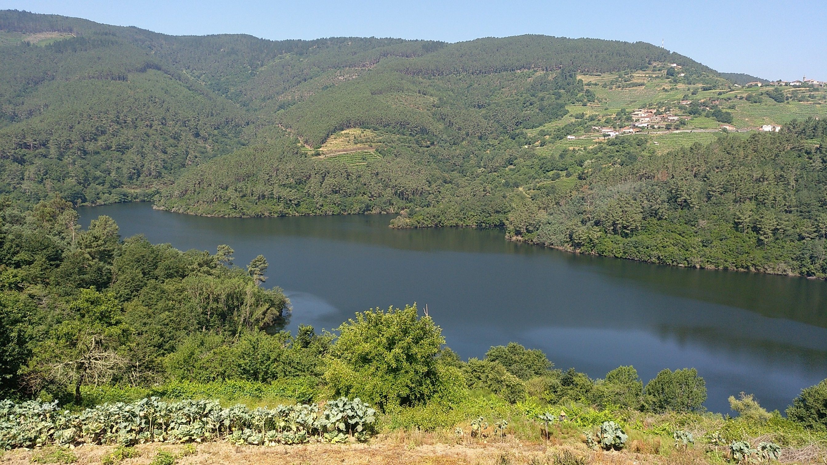 View from room
