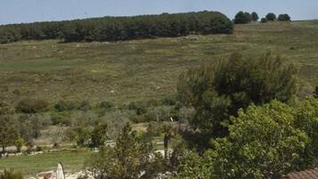 Blick von der Unterkunft