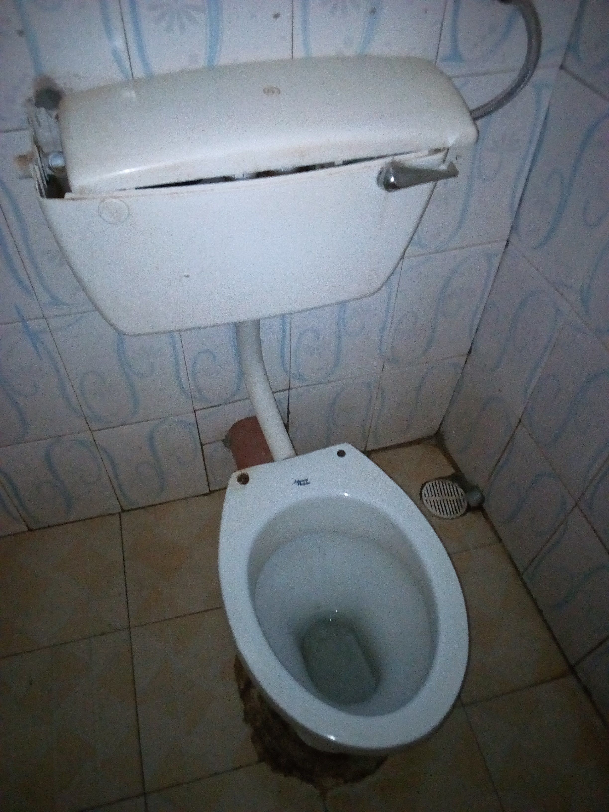 A toilet with a white tank and seat, a visible drain, and a patterned wall.
