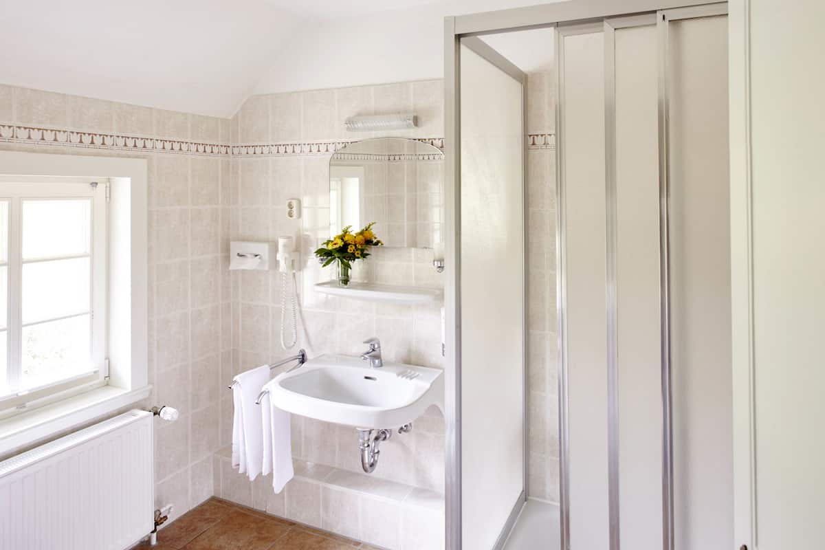 comfort double room (no pets allowed) | bathroom | shower, free toiletries, towels