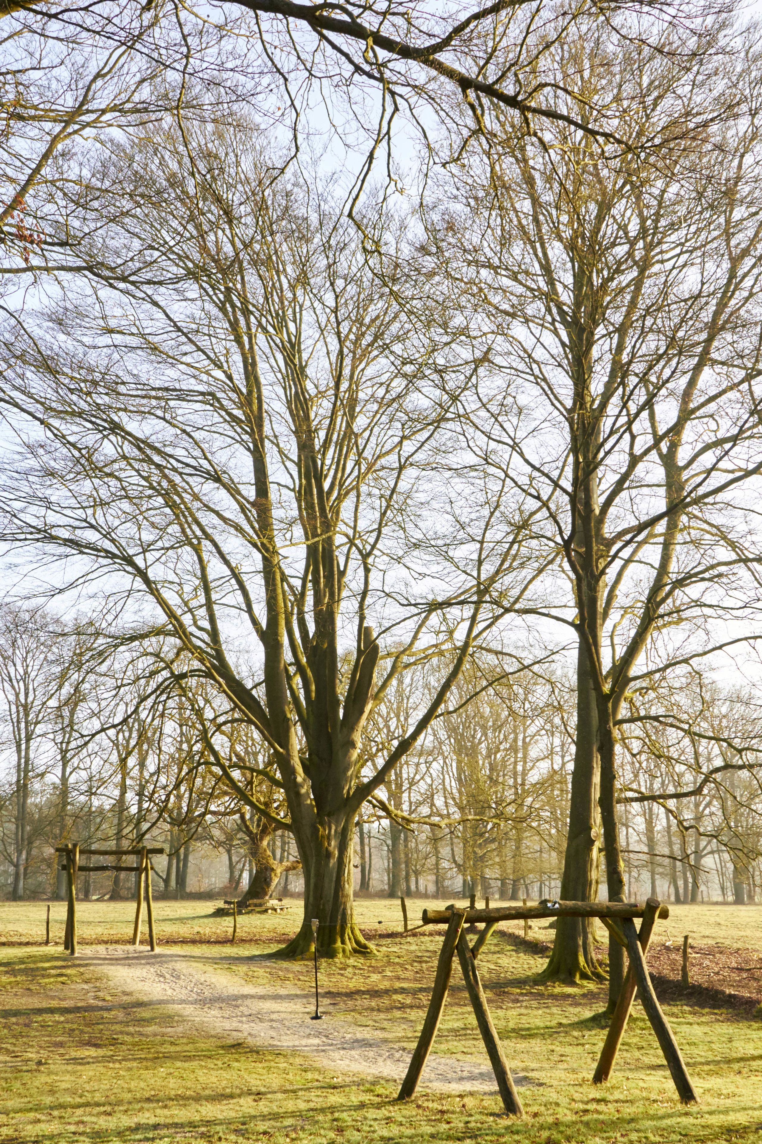 children’s play area – outdoor