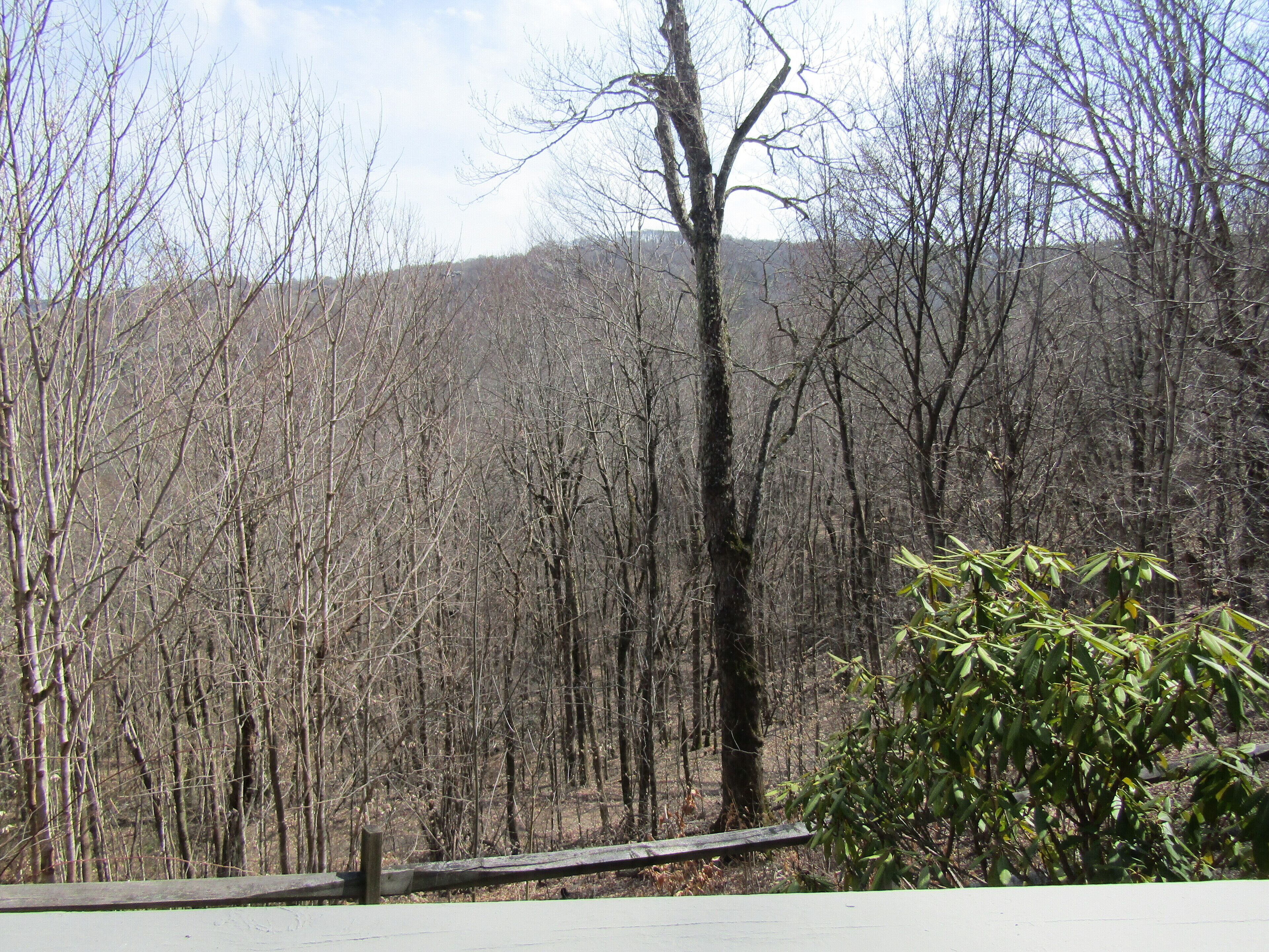 Huge 3 Bedroom Condo in Skyleaf. Rented by Sugar Mountain Lodging, Inc.