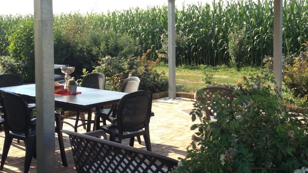 An outdoor patio with a table and chairs, a bench, and a view of a cornfield. - B&B Cascina Garaita (Genola)
