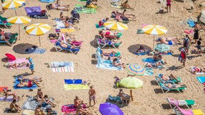 Ein überfüllter Strand mit vielen Liegestühlen und Sonnenschirmen.