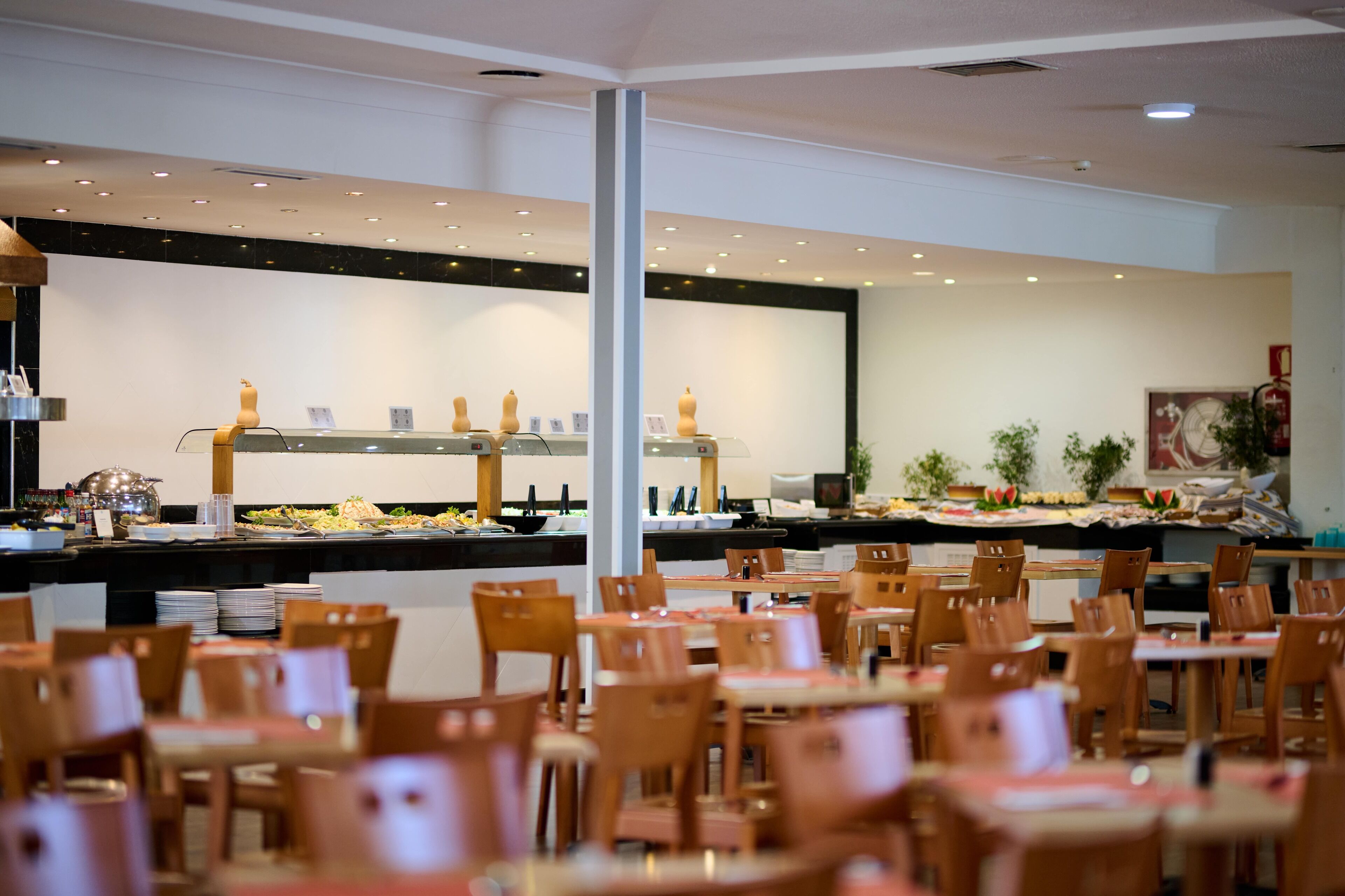 Photo - AluaSun Cala Antena - All Inclusive