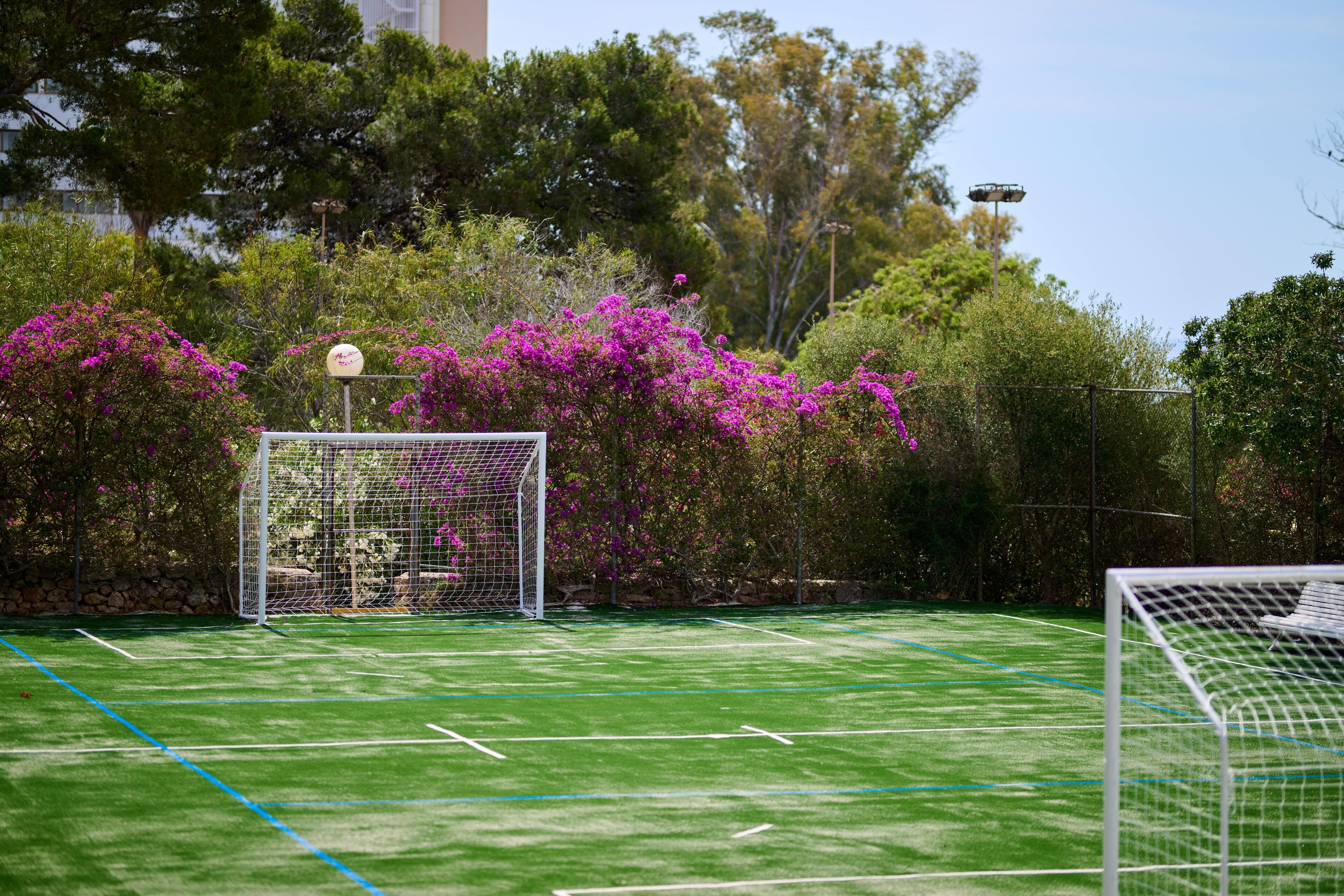 Photo - AluaSun Cala Antena - All Inclusive