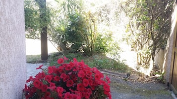 EntrĂ©e de lâhĂ©bergement