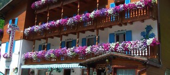 阿爾貝格金澤雅妮拉旅館