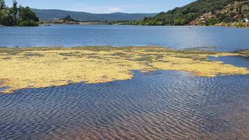 A lake with clear water and a sandy area with yellow algae.