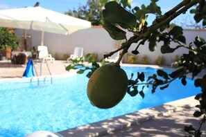 Outdoor pool, pool umbrellas, sun loungers - Il Quadrifoglio (Trapani)