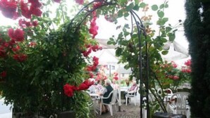 An outdoor seating area with tables and chairs, surrounded by lush greenery and flowering plants. - Landgasthaus Zum Alten Fritz (Asbach)
