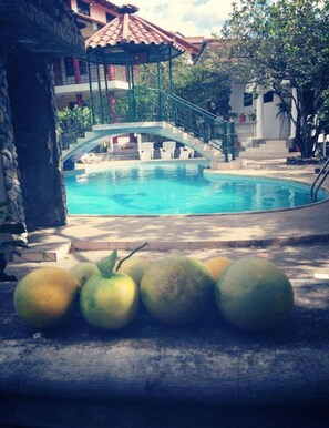 Outdoor pool - Hosteria el Descanso de Ramses (Vilcabamba)