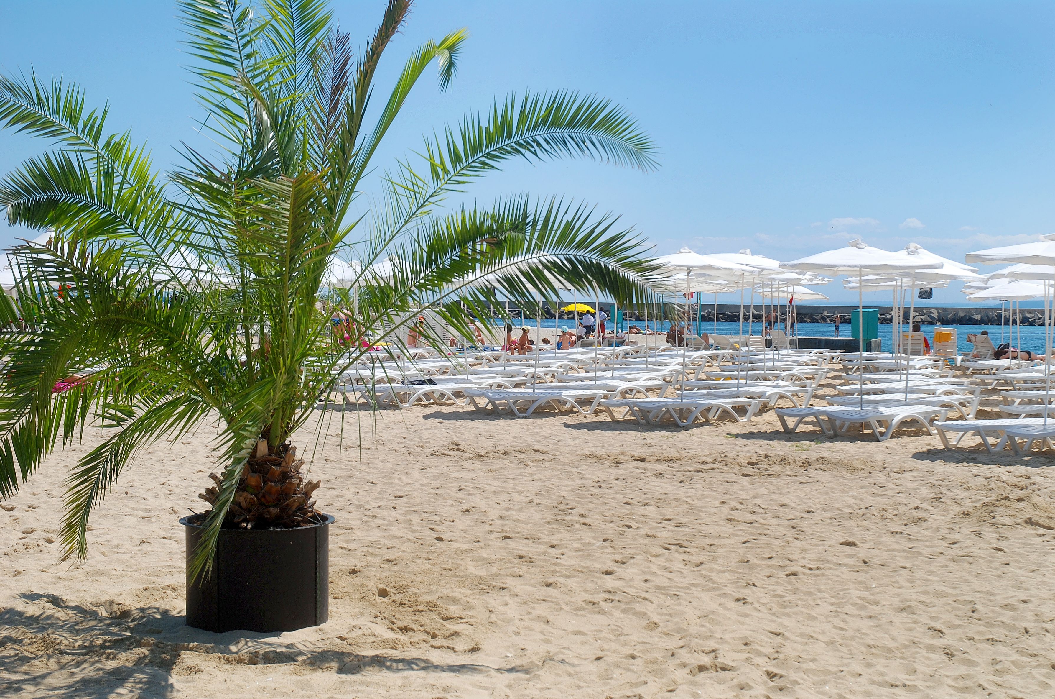 بالقرب من الشاطئ، كراسي للتشمس، مظلات الشاطئ، مناشف للشاطئ