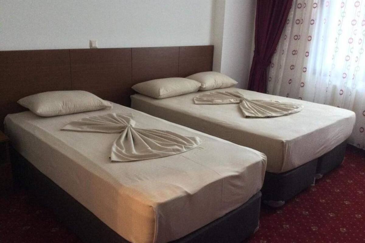 Two single beds with headboards, a red carpet, and a window with curtains.