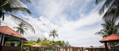 Outdoor pool, sun loungers