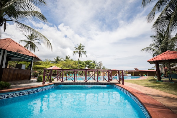 Outdoor pool, sun loungers