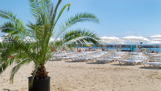 Een strand met witte ligbedden en parasols, een palmboom en een helderblauwe lucht.