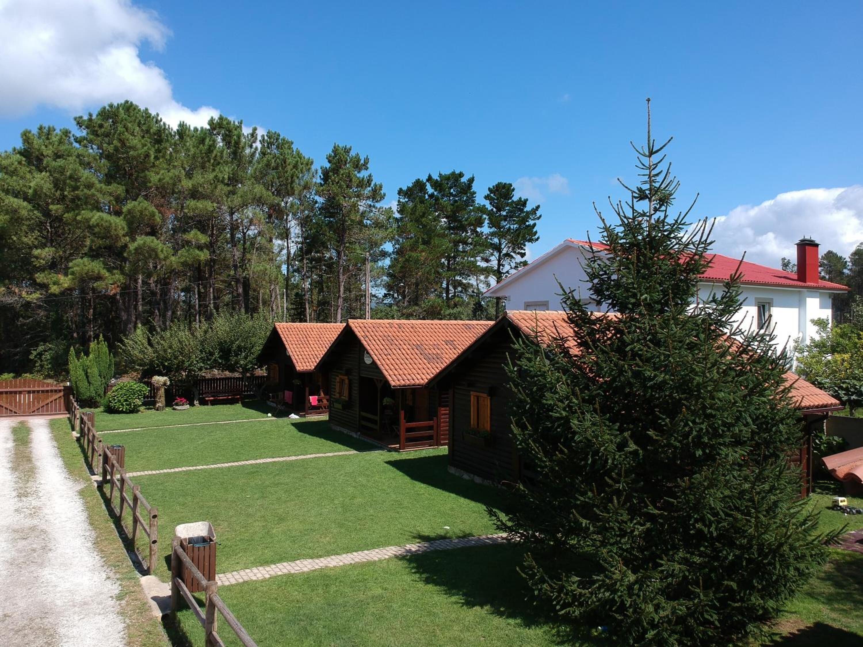 Ein rustikales Blockhaus mit rotem Dach, umgeben von einem gepflegten Rasen und hoch aufragenden Kiefern.