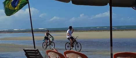 بالقرب من الشاطئ