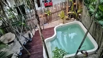 Una piscina pequeña y cerrada con terraza de madera y plantas tropicales alrededor.