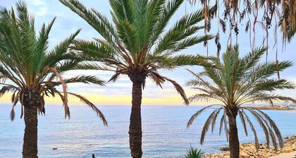 El campello Alicante 8 osób Costa Blanca