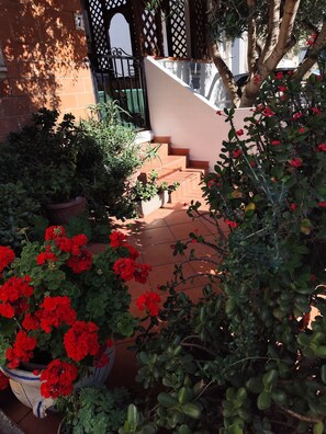 Exterior detail - SARDINIA SEA HOLIDAYS AND FREE CLIMBING (Cala Gonone)