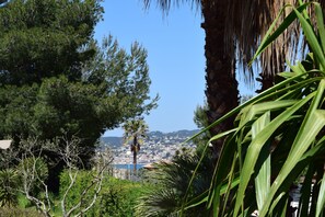 A coastal cityscape with dense greenery and a clear sky.