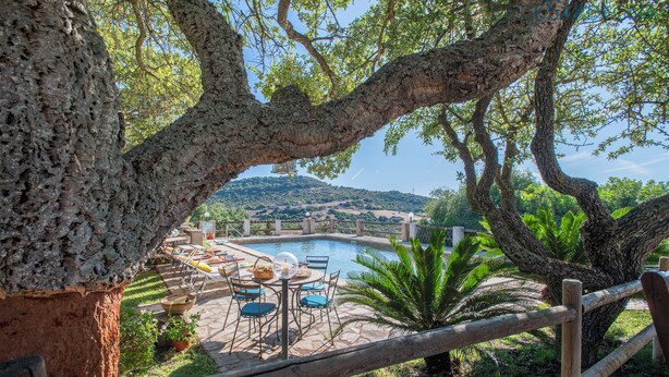 A pool area with a wooden fence, outdoor seating, and a large tree in the foreground. - Splendid independent Villa surrounded by Sardinian nature (Putifigari)