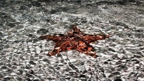 Botón de imagen sin clasificar, 3 de 20