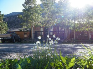 Terrain de l’hébergement 