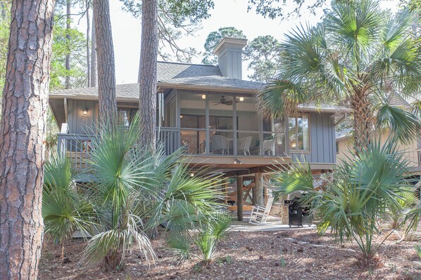 A house with a covered porch, large windows, and palm trees.