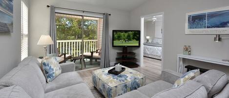 Smart TV, DVD player, books, video library