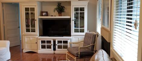 TV, DVD player, books, video library