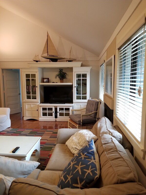 TV, DVD player, books, video library