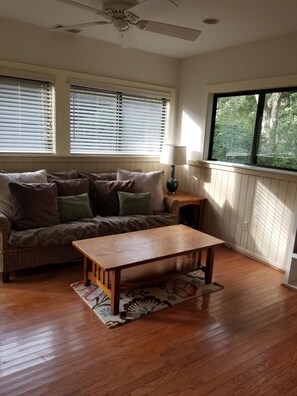 TV, DVD player, books, video library