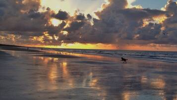 Beach nearby, sun-loungers
