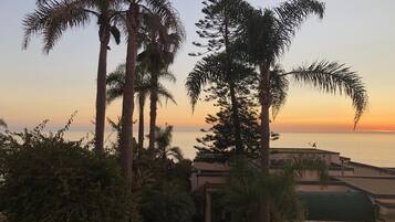 Un sendero conduce a una zona de piscina rodeada de palmeras y follaje, con vista al mar al atardecer.