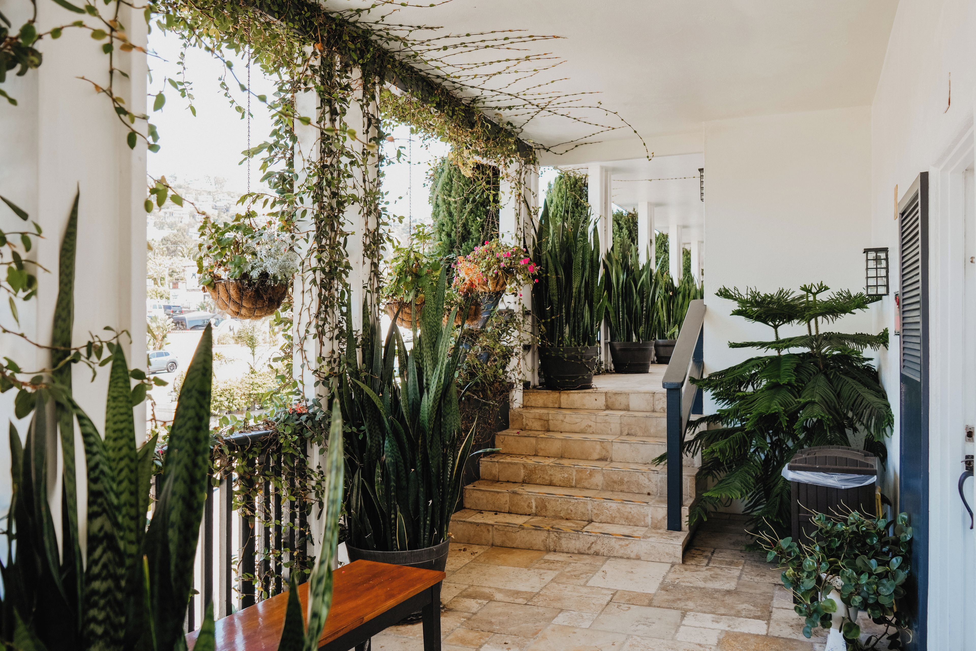 Una escalera con un banco de madera y plantas en macetas.