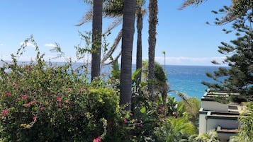 Suite, balcón, vista al océano | Ropa de cama de alta calidad, camas Tempur-Pedic y cortinas blackout