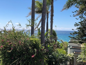 Suite, Balkon, Meerblick