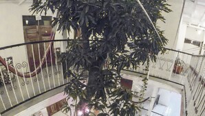Een meerlaags atrium met een centrale boom, zitplekken en een decoratieve balustrade.