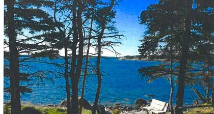 Experience the ocean in all it’s glory, watch the waves and hear them roar.